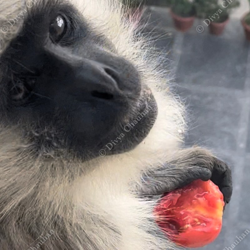 What time shall I come&nbsp;tomorrow?